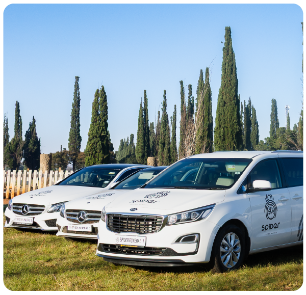 The Essence & Heart of Spider Funeral Parlour